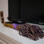 Lavender Apartment