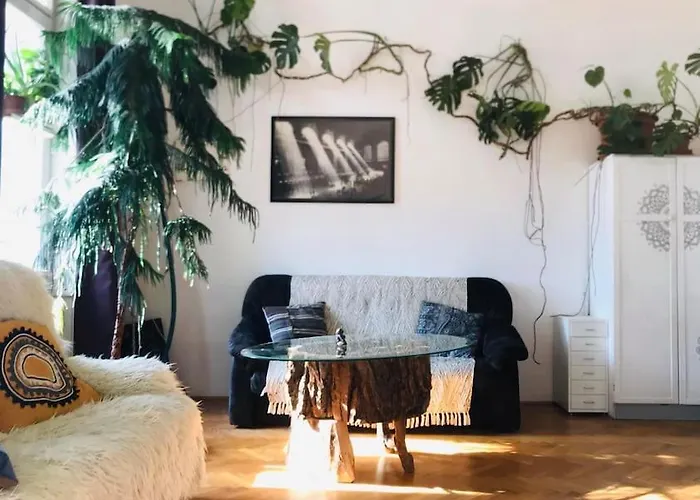 A Selva Urbana