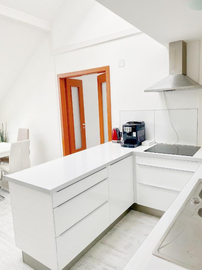 Loft With Rooftop And Free Parking In Garage Lejlighed Budapest