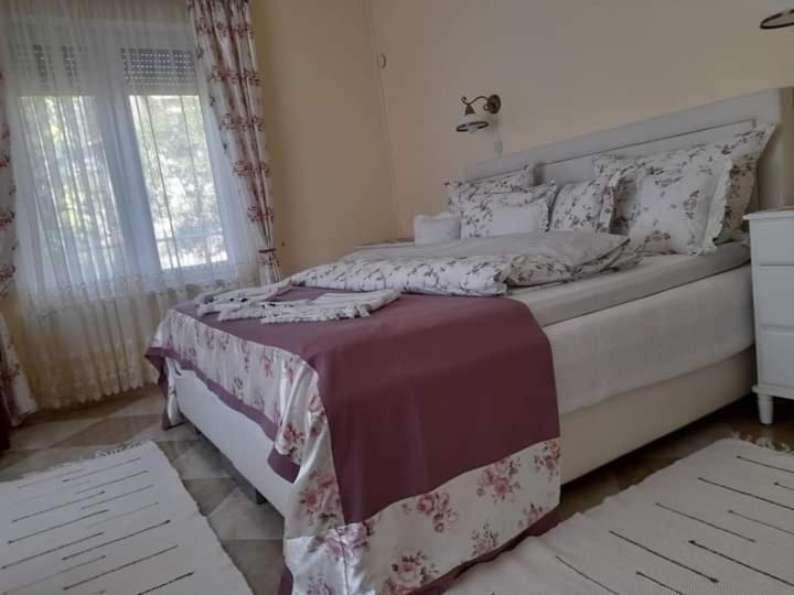 Apartman Aranyosház-vendégház