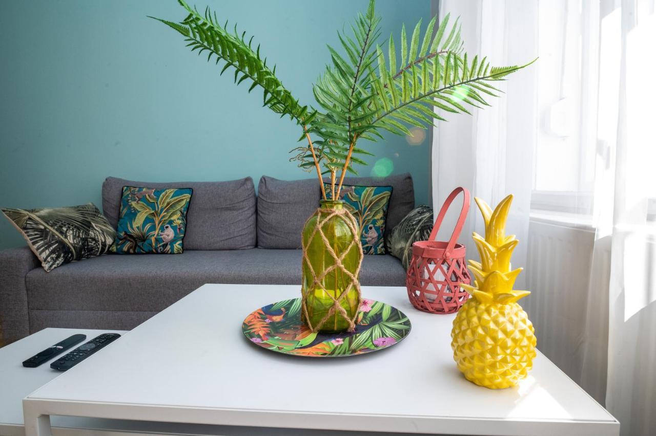 Palms * Budapest