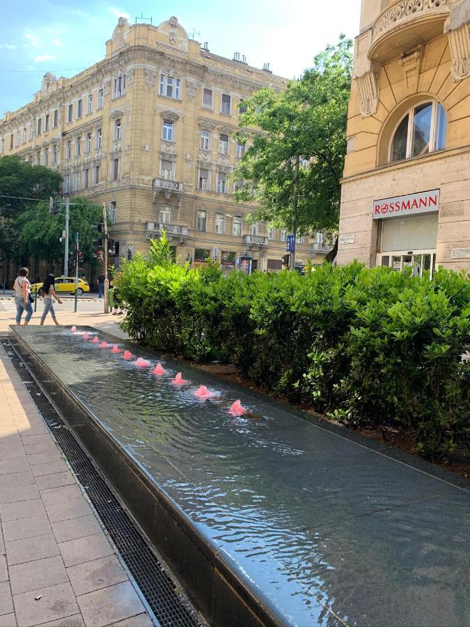 Rainforest By The Danube Apartamento Budapest