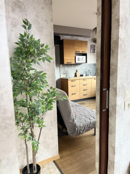 Elegant Rooftop Studio With Shared Terrace And Jacuzzi Appartement