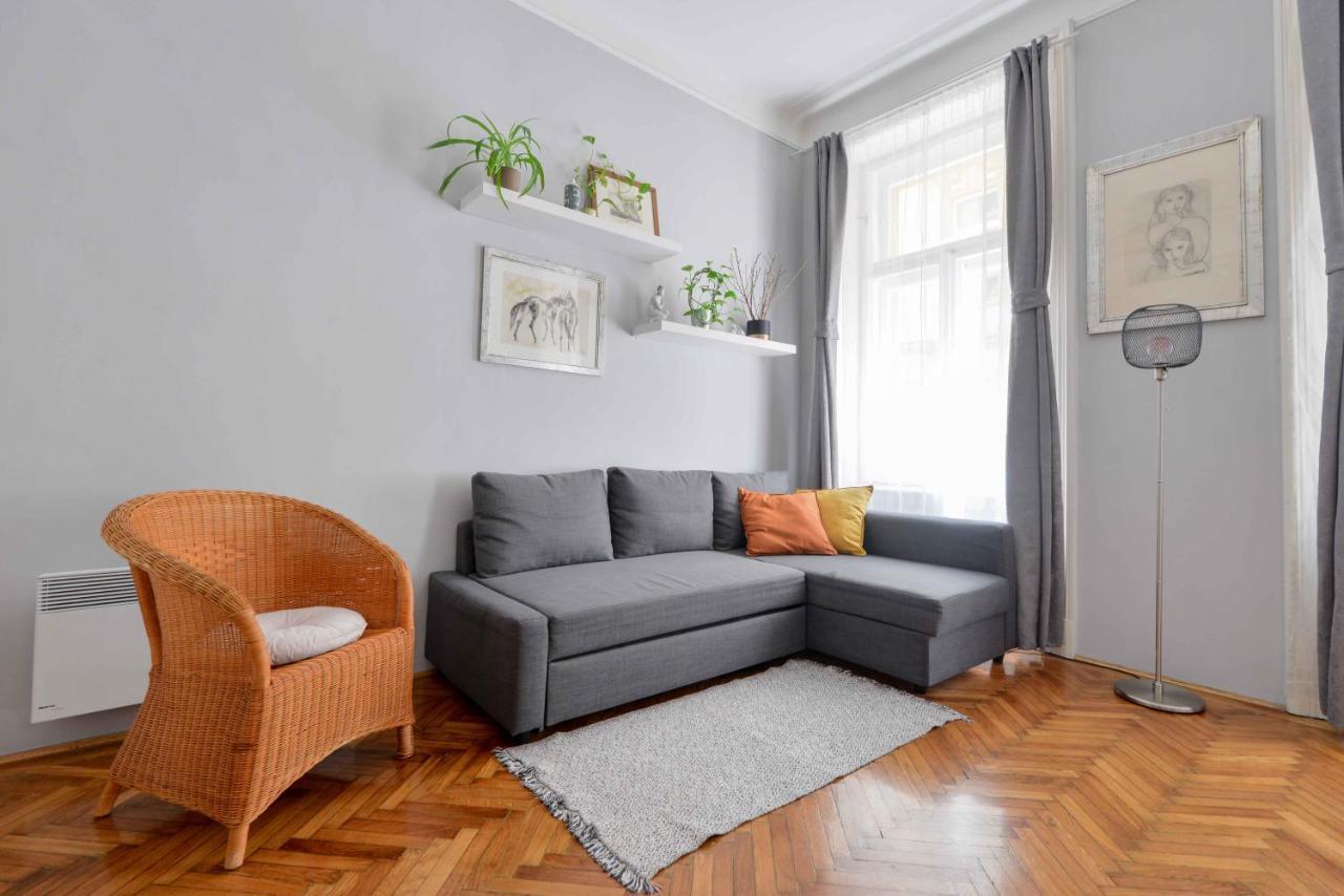 Apartment Dohany Design