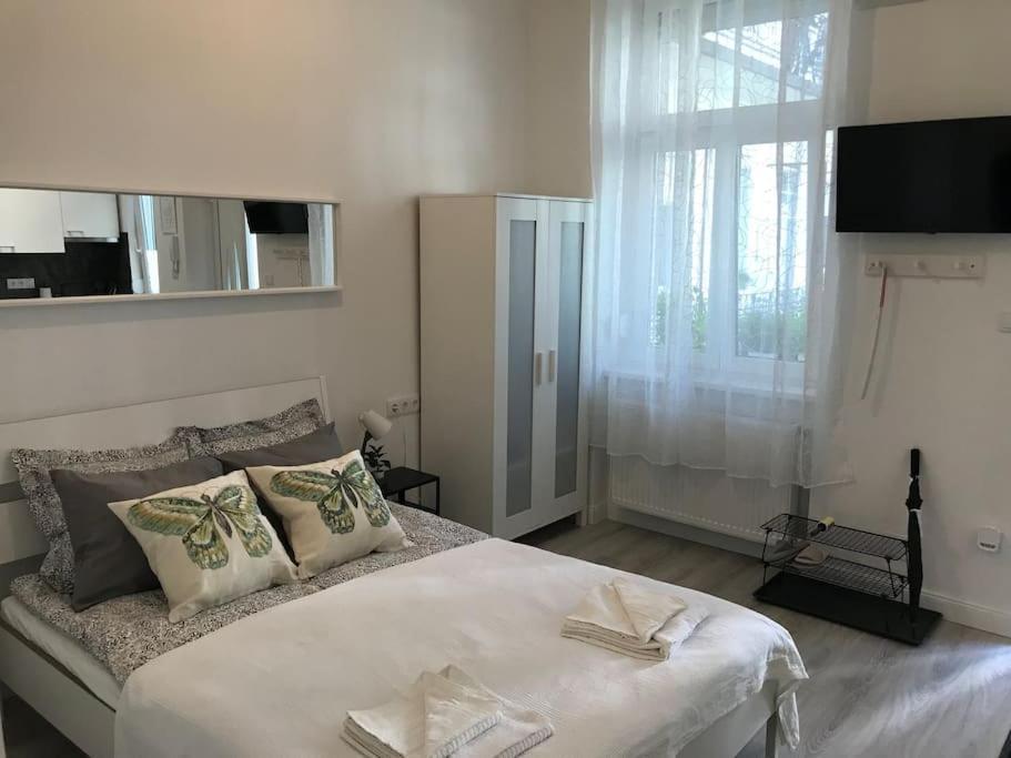 Apartament Near Park Only 5 Minutes Walk , Where Find The World Famous Szechenyi Thermal Bath Spa, Capital Circus , Museums The Is Modern And Newly Renovated ,in A Quiet And Peaceful Oasis With Ac ,smart Tv, High Speed Internet Budapeszt