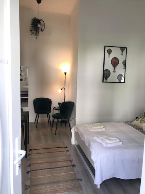 Near Park Only 5 Minutes Walk , Where Find The World Famous Szechenyi Thermal Bath Spa, Capital Circus , Museums The Is Modern And Newly Renovated ,in A Quiet And Peaceful Oasis With Ac ,smart Tv, High Speed Internet Apartament Budapeszt