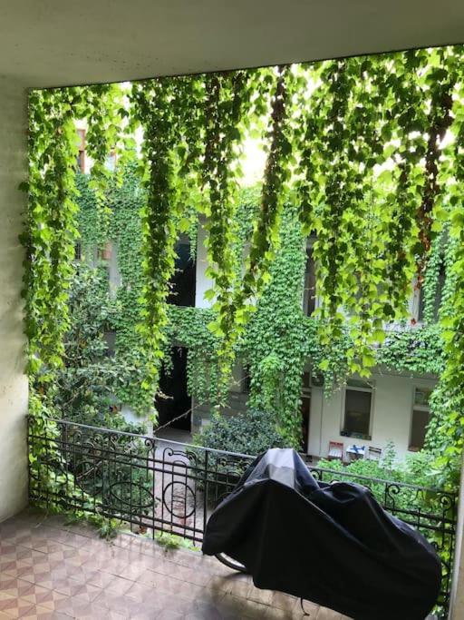 Apartament Near Park Only 5 Minutes Walk , Where Find The World Famous Szechenyi Thermal Bath Spa, Capital Circus , Museums The Is Modern And Newly Renovated ,in A Quiet And Peaceful Oasis With Ac ,smart Tv, High Speed Internet *