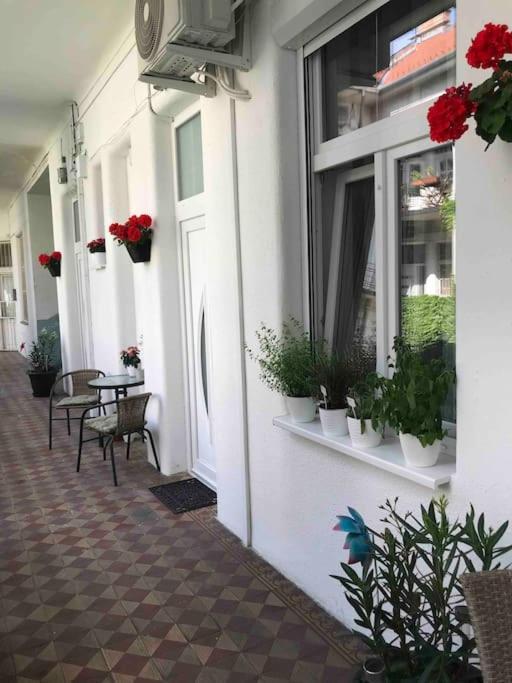 Near Park Only 5 Minutes Walk , Where Find The World Famous Szechenyi Thermal Bath Spa, Capital Circus , Museums The Is Modern And Newly Renovated ,in A Quiet And Peaceful Oasis With Ac ,smart Tv, High Speed Internet Apartament