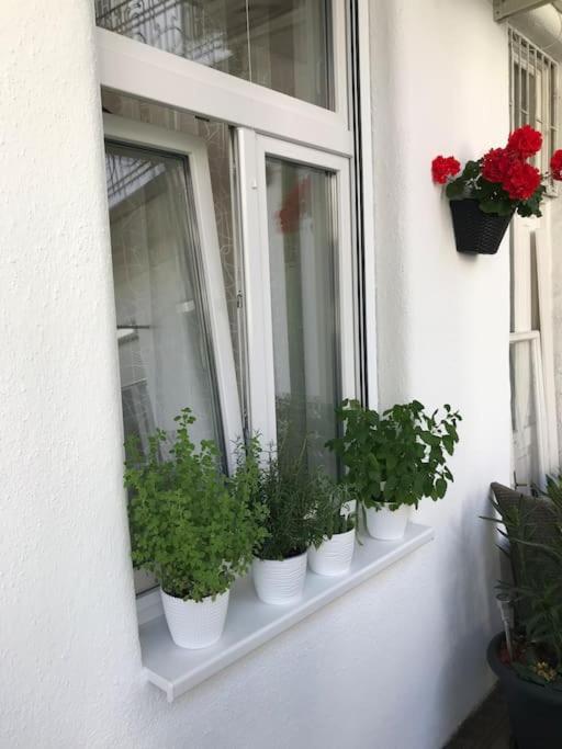 Apartament Near Park Only 5 Minutes Walk , Where Find The World Famous Szechenyi Thermal Bath Spa, Capital Circus , Museums The Is Modern And Newly Renovated ,in A Quiet And Peaceful Oasis With Ac ,smart Tv, High Speed Internet