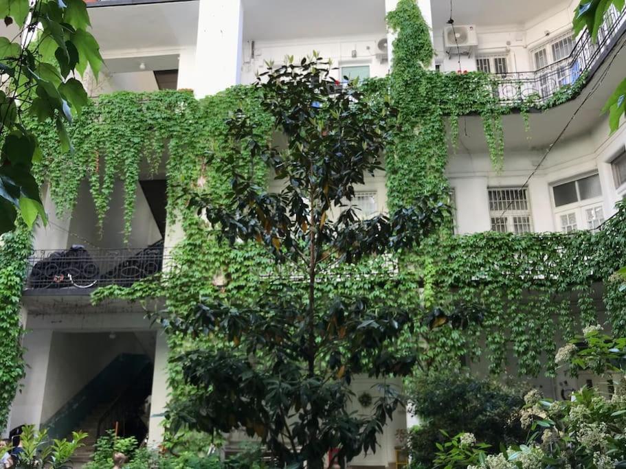 Near Park Only 5 Minutes Walk , Where Find The World Famous Szechenyi Thermal Bath Spa, Capital Circus , Museums The Is Modern And Newly Renovated ,in A Quiet And Peaceful Oasis With Ac ,smart Tv, High Speed Internet Budapeszt