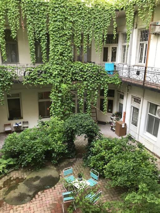 Near Park Only 5 Minutes Walk , Where Find The World Famous Szechenyi Thermal Bath Spa, Capital Circus , Museums The Is Modern And Newly Renovated ,in A Quiet And Peaceful Oasis With Ac ,smart Tv, High Speed Internet