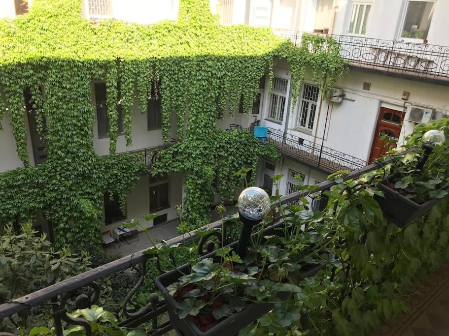 Near Park Only 5 Minutes Walk , Where Find The World Famous Szechenyi Thermal Bath Spa, Capital Circus , Museums The Is Modern And Newly Renovated ,in A Quiet And Peaceful Oasis With Ac ,smart Tv, High Speed Internet Apartament Budapeszt