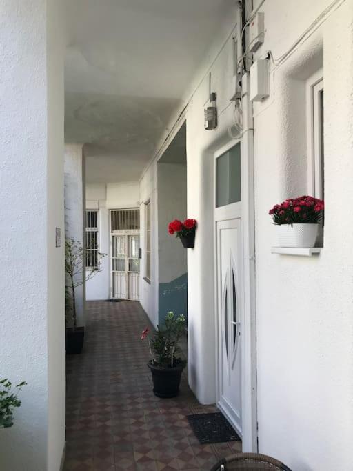 Near Park Only 5 Minutes Walk , Where Find The World Famous Szechenyi Thermal Bath Spa, Capital Circus , Museums The Is Modern And Newly Renovated ,in A Quiet And Peaceful Oasis With Ac ,smart Tv, High Speed Internet