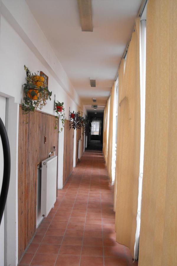 Pannonia Hostel *
