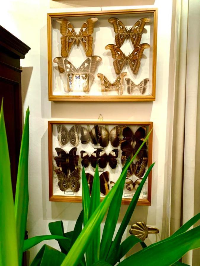 Butterfly Apartamento Budapest