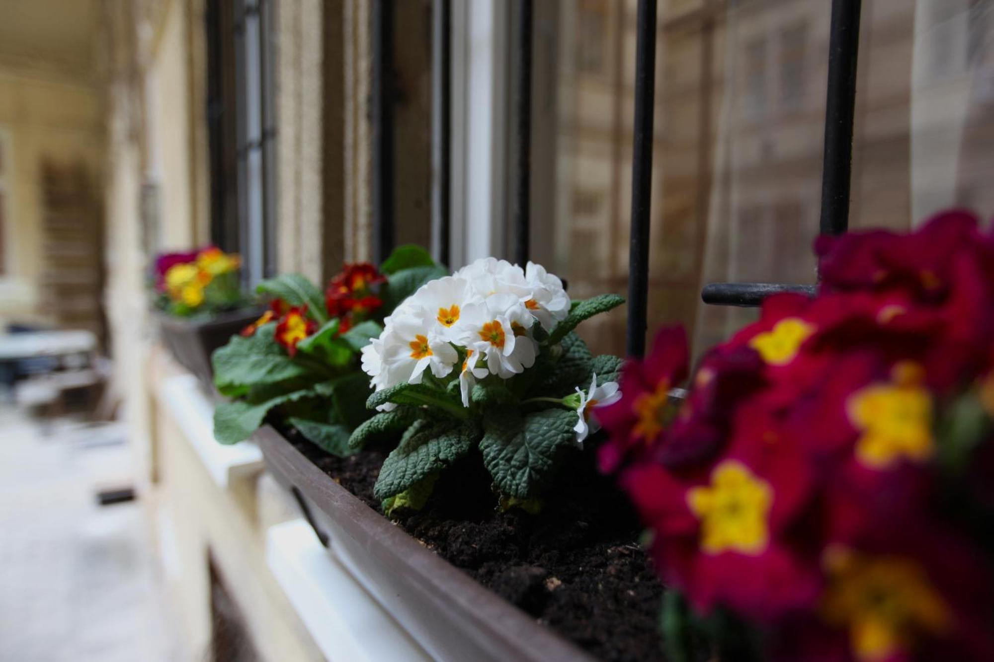 Goldcentral Danube-private Terrace-convenient Location Budapest