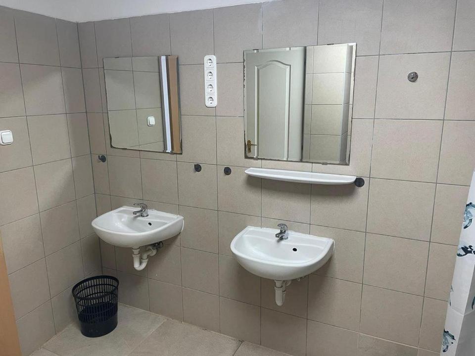 Hostel Viola *