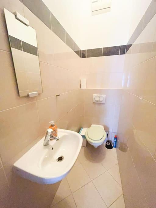 Spacious In A Vibrant Center *