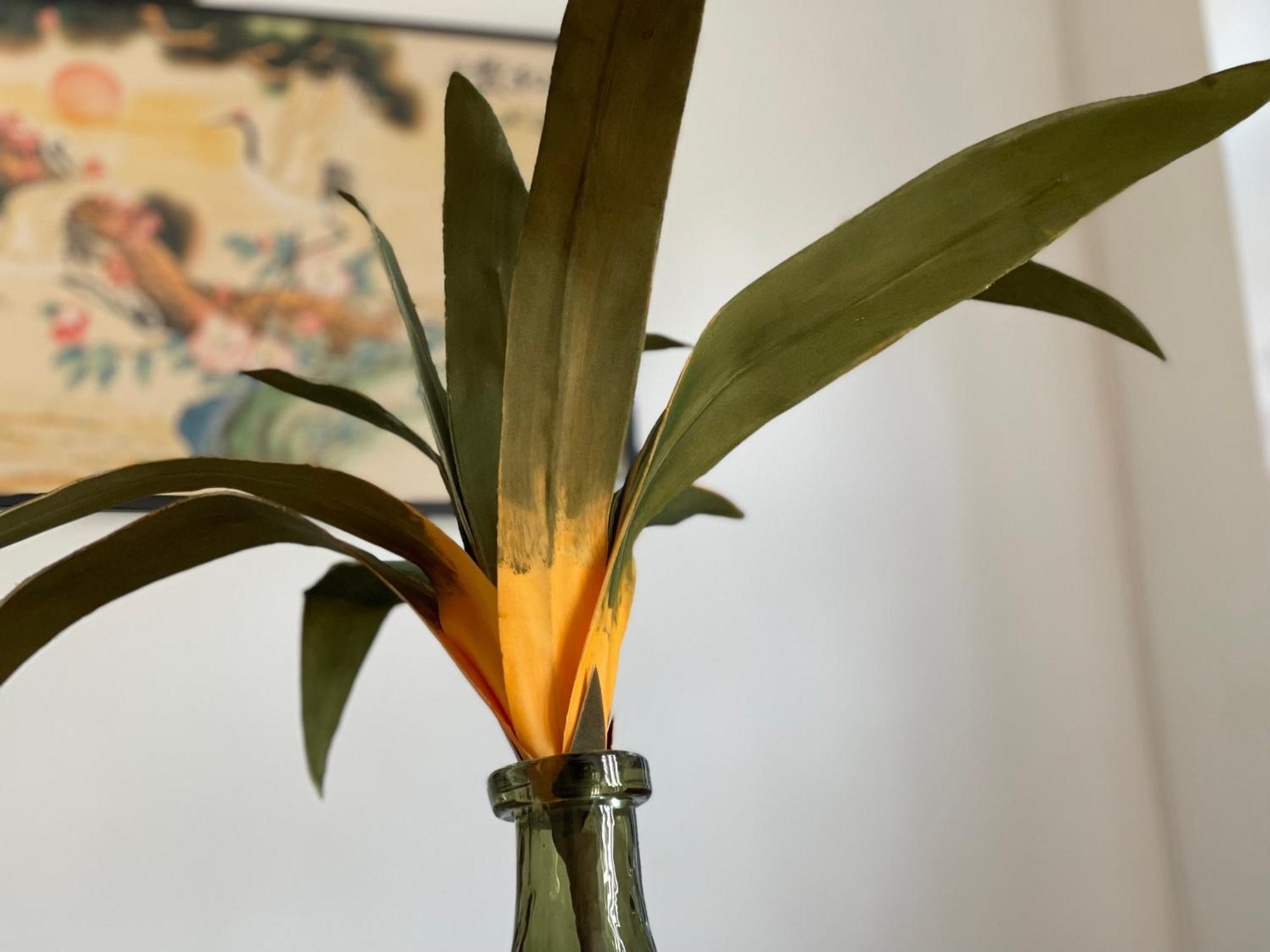 Apartment Palms *