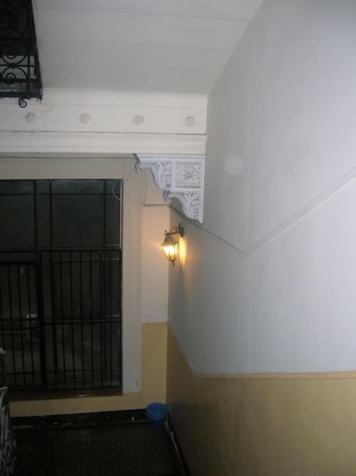 A Selva Urbana * Budapest