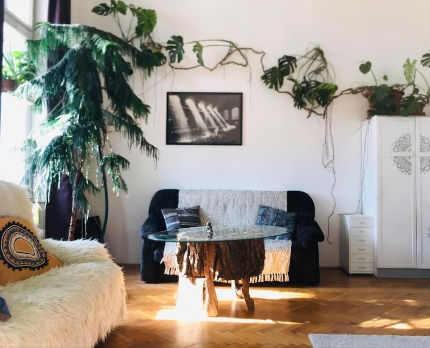 A Selva Urbana Budapest