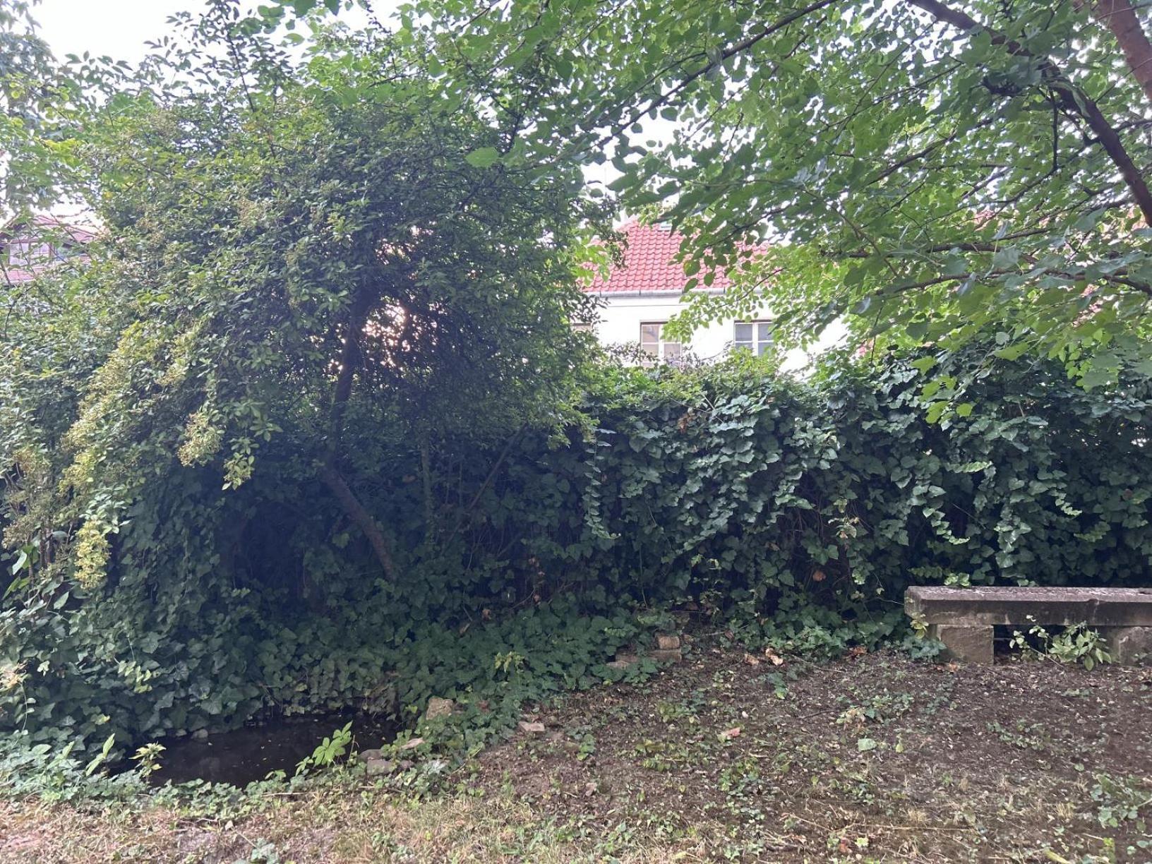 Hilltop Garden *