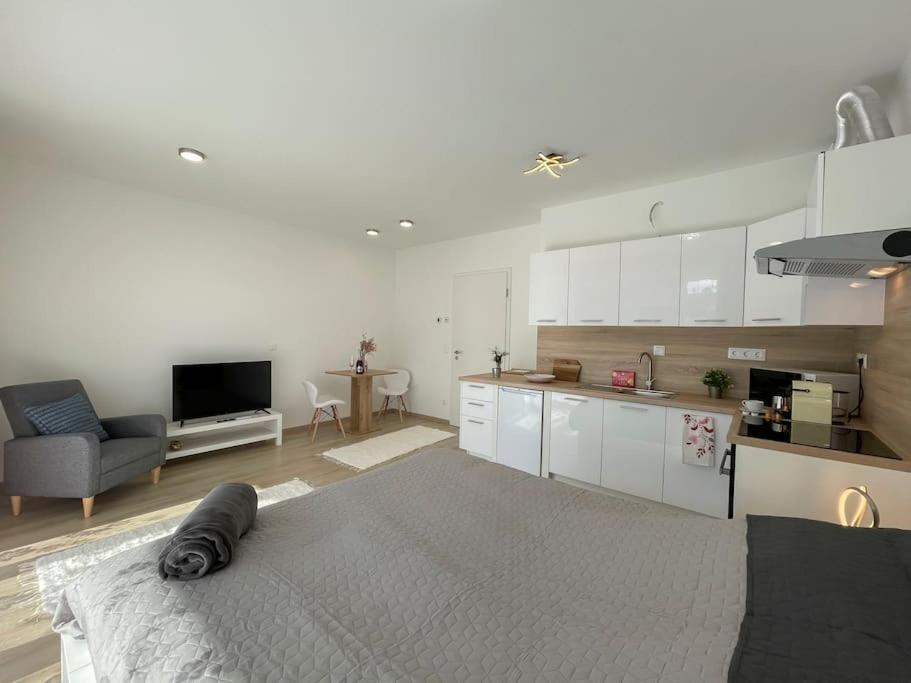 Appartamento Brand New Danube W Balcony And Free Parking