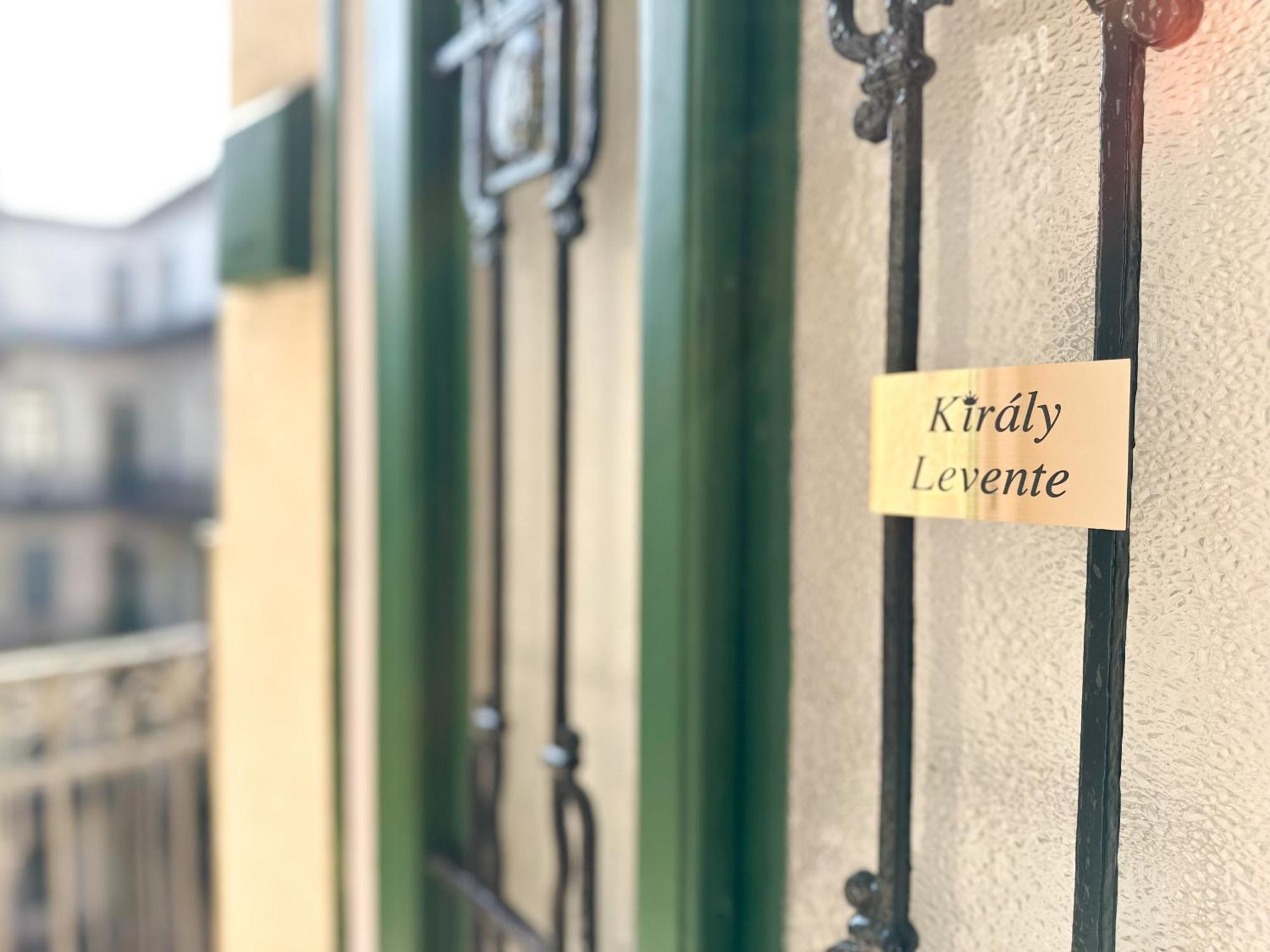 Kiraly Levente - Center Location Ac Apartment