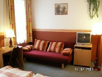 Hotel Gartner 3*