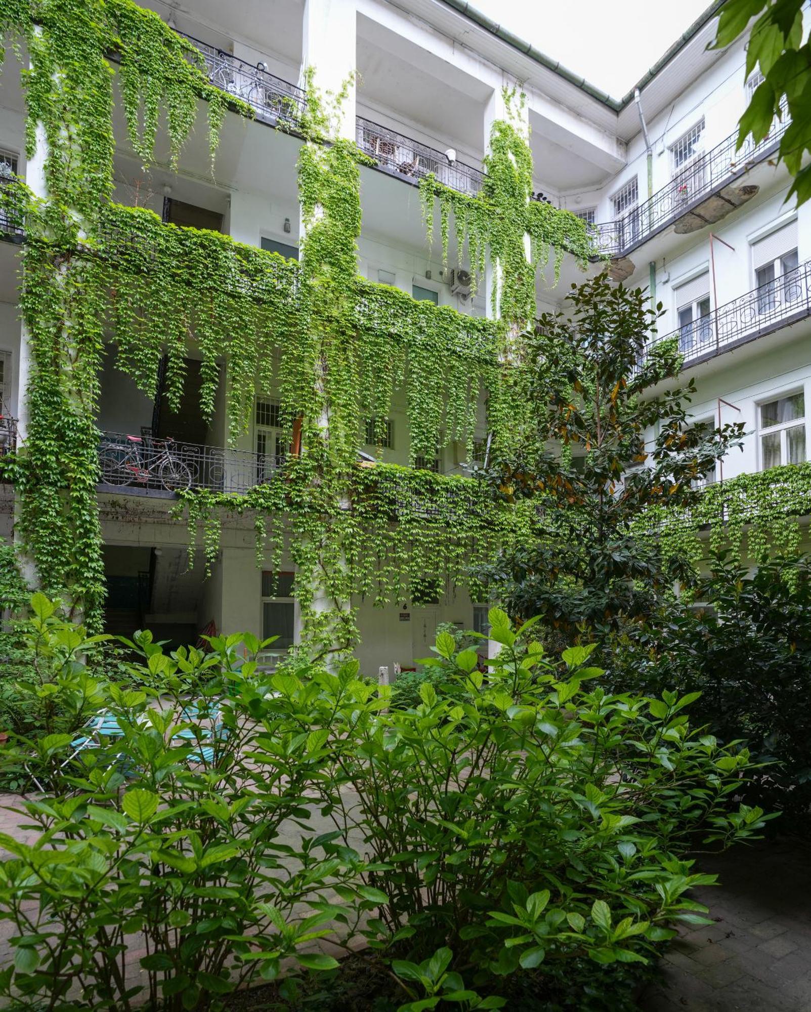 Near Park Only 5 Minutes Walk , Where Find The World Famous Szechenyi Thermal Bath Spa, Capital Circus , Museums The Is Modern And Newly Renovated ,in A Quiet And Peaceful Oasis With Ac ,smart Tv, High Speed Internet *