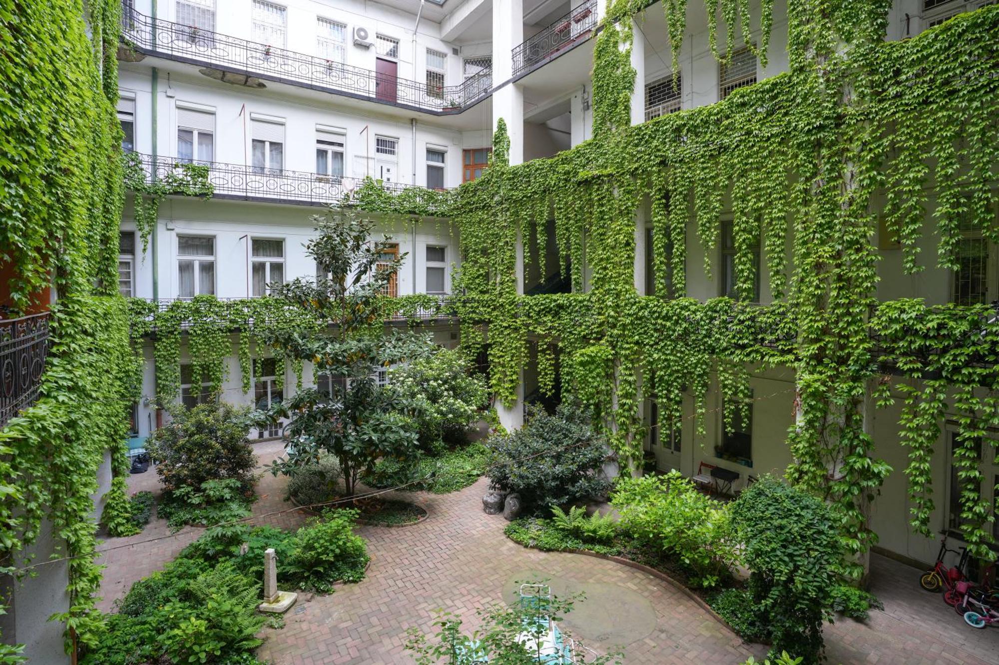 Near Park Only 5 Minutes Walk , Where Find The World Famous Szechenyi Thermal Bath Spa, Capital Circus , Museums The Is Modern And Newly Renovated ,in A Quiet And Peaceful Oasis With Ac ,smart Tv, High Speed Internet * Budapeszt
