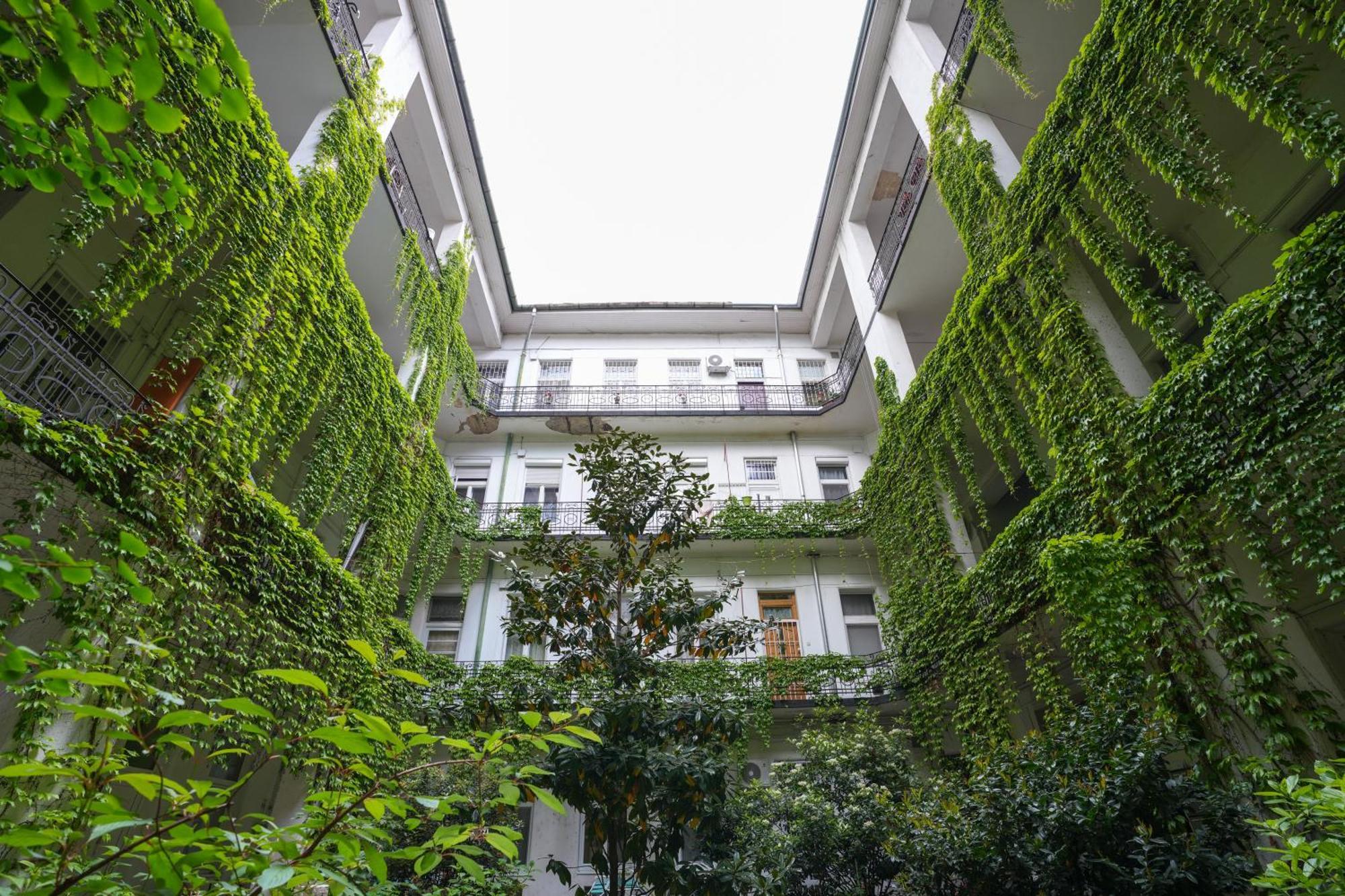 Near Park Only 5 Minutes Walk , Where Find The World Famous Szechenyi Thermal Bath Spa, Capital Circus , Museums The Is Modern And Newly Renovated ,in A Quiet And Peaceful Oasis With Ac ,smart Tv, High Speed Internet Apartament *