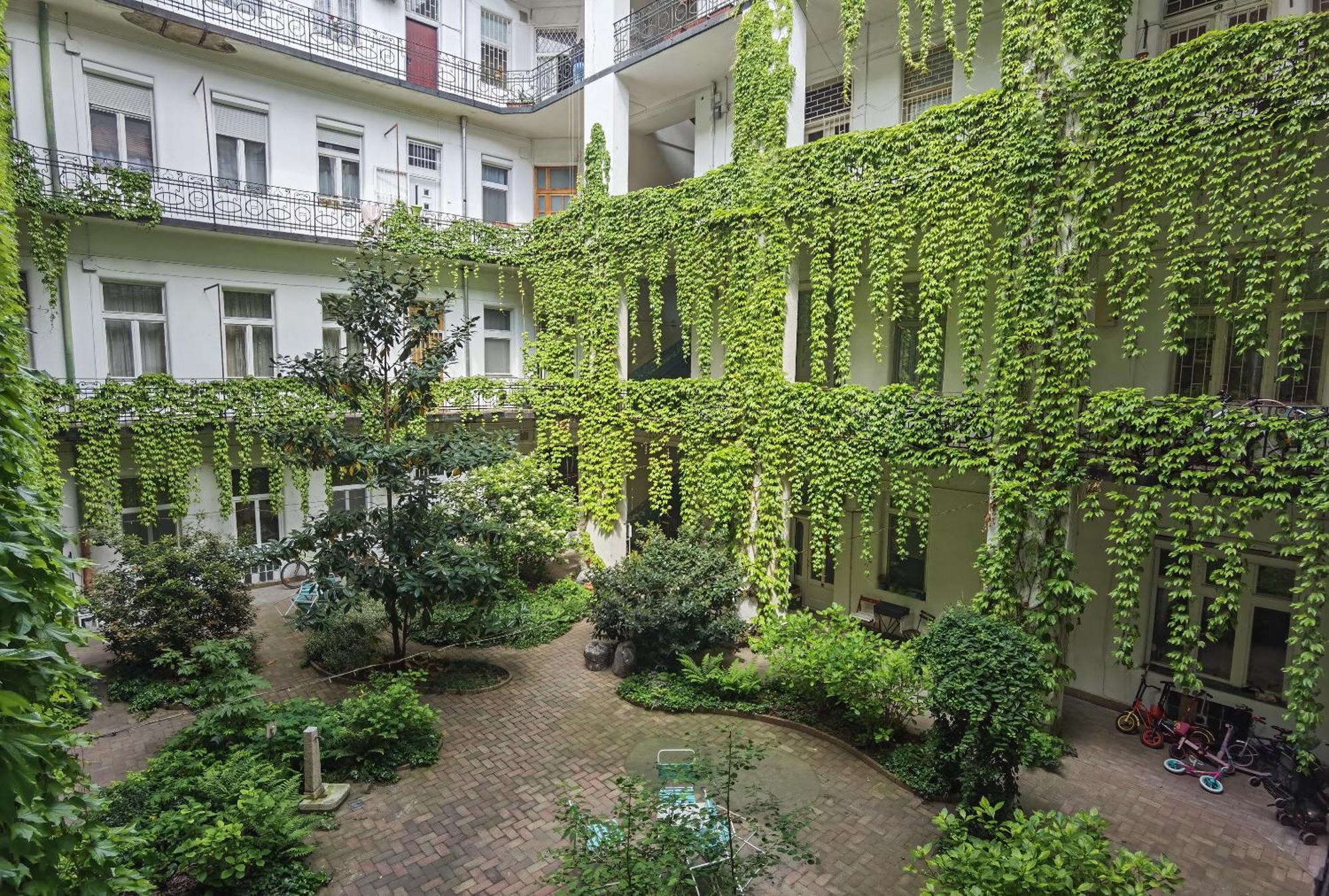 Near Park Only 5 Minutes Walk , Where Find The World Famous Szechenyi Thermal Bath Spa, Capital Circus , Museums The Is Modern And Newly Renovated ,in A Quiet And Peaceful Oasis With Ac ,smart Tv, High Speed Internet Apartament *