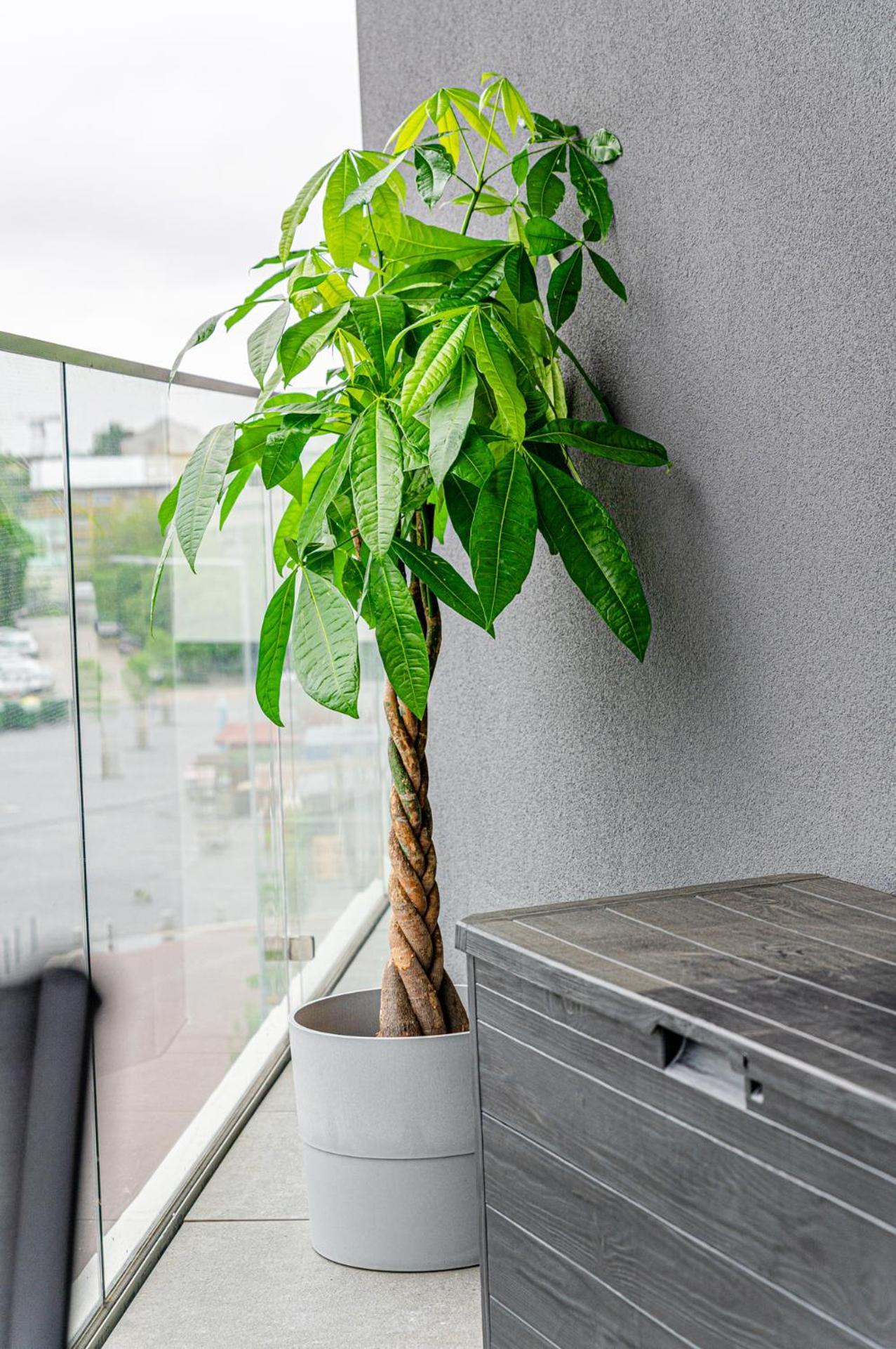 Zenit Sunrise Oasis With Terrace & Garage Parking Boedapest
