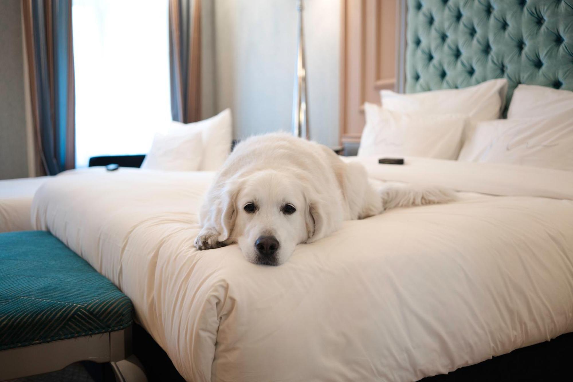 Aria By Library Collection Hotel