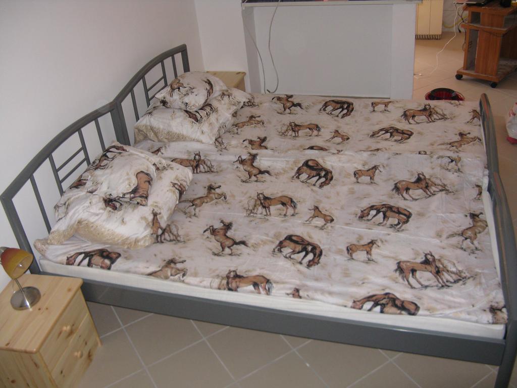 Karpati Penzión pre hostí Budapest