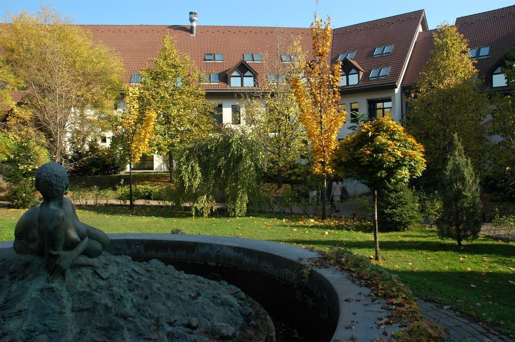 Rubin Wellness & Conference