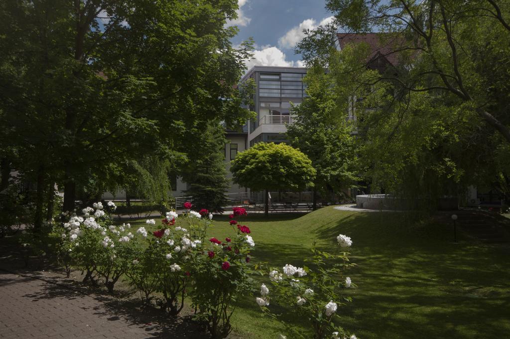Rubin Wellness & Conference 4*