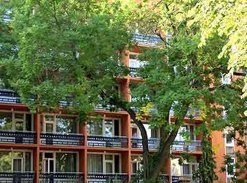 Ibs Garden Budapest