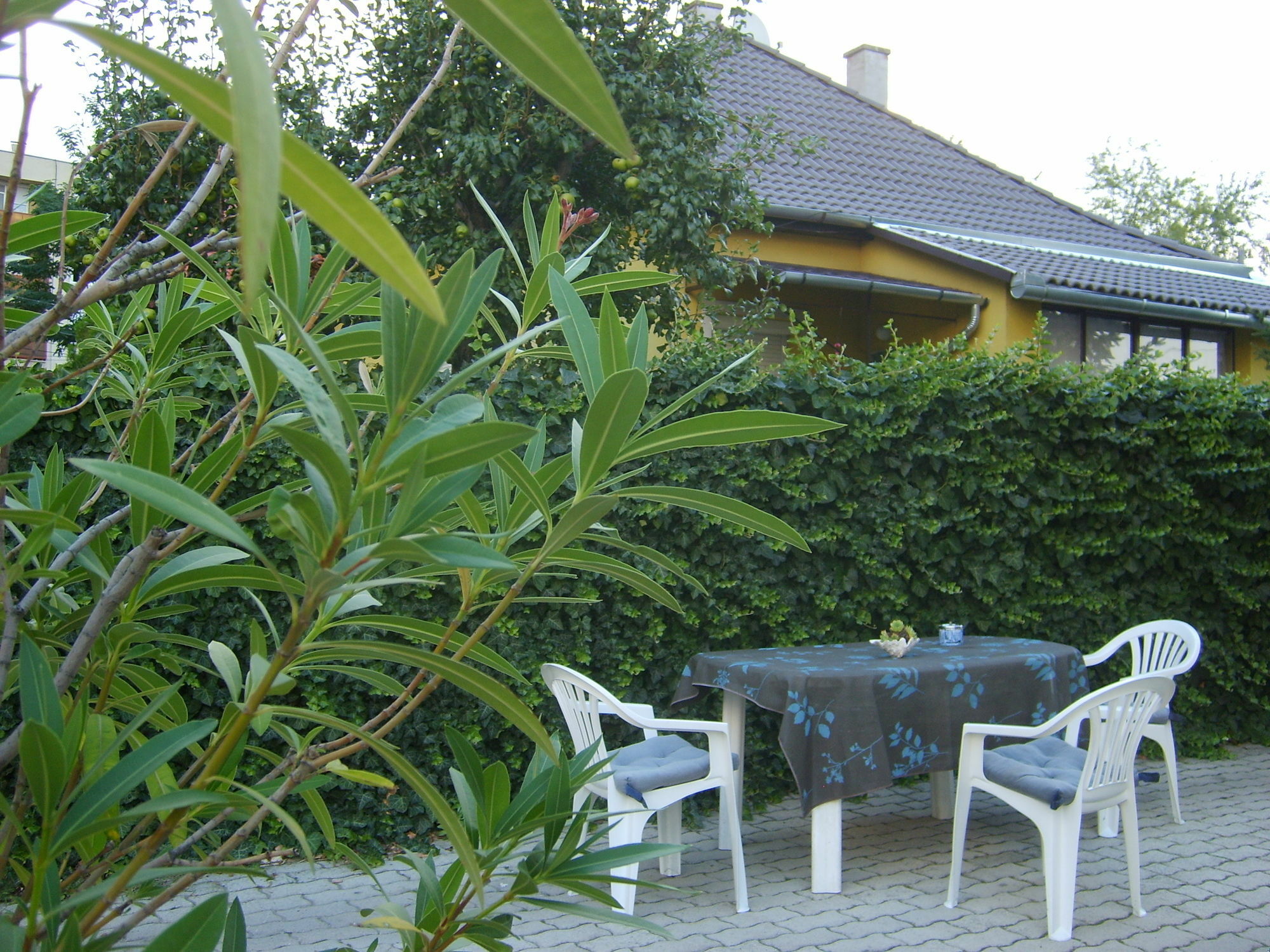 Irini Panzio Guest house 2*