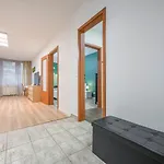 Modern Apartment With Garage