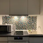 Downtown Mini Apartment