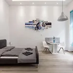Elegant Studio In Central Budapest