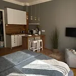 Luxury Downtown Apartment