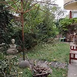 Hedgehog Shelter