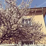 Kis Gellert Guesthouse