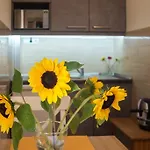 Friendly Home In The Center