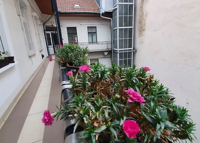 Violet Apartment With Air Condition