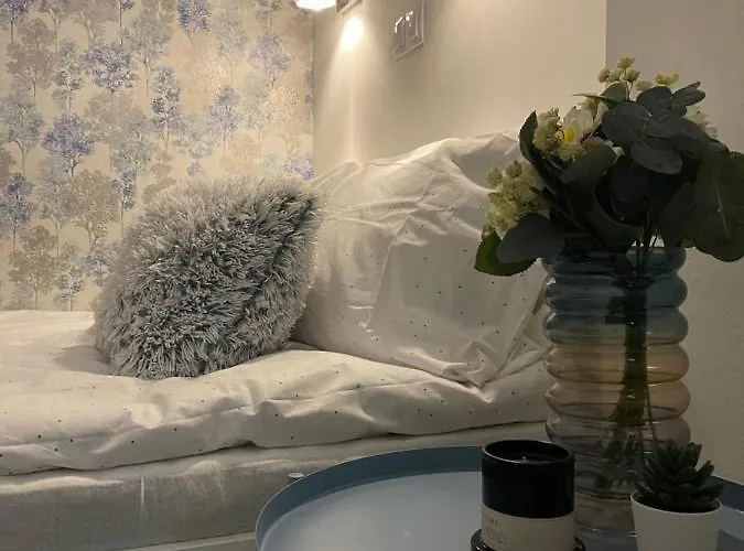 Downtown Mini Apartment