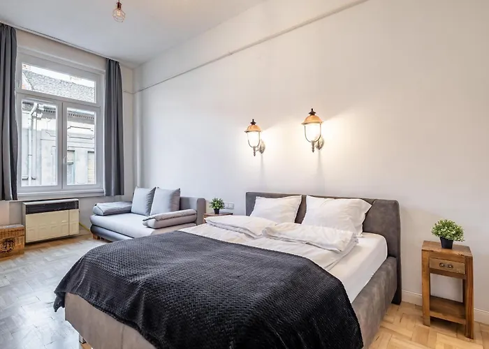 Luxurious Apartments At City Center